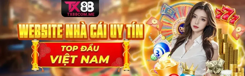 Hình ảnh chính Vibbet Đăng Nhập