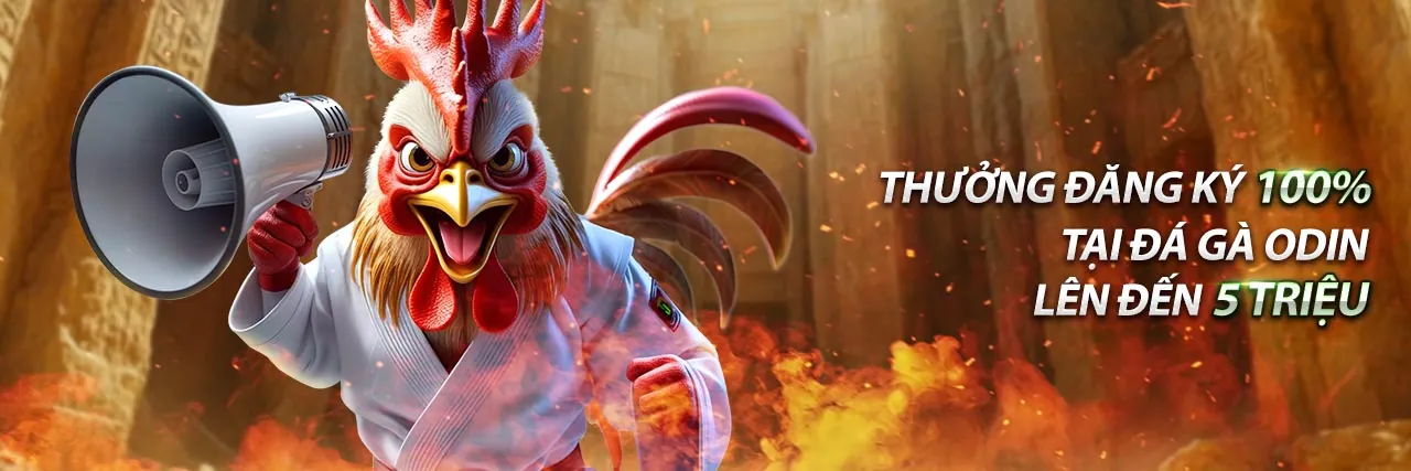 Đội ngũ hỗ trợ khách hàng chuyên nghiệp của Vibbet